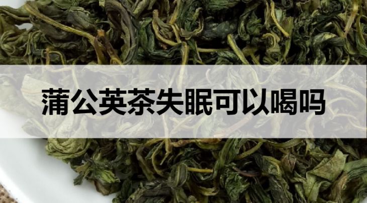 蒲公英茶失眠可以飲用嗎？