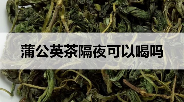 蒲公英茶隔夜能喝嗎？