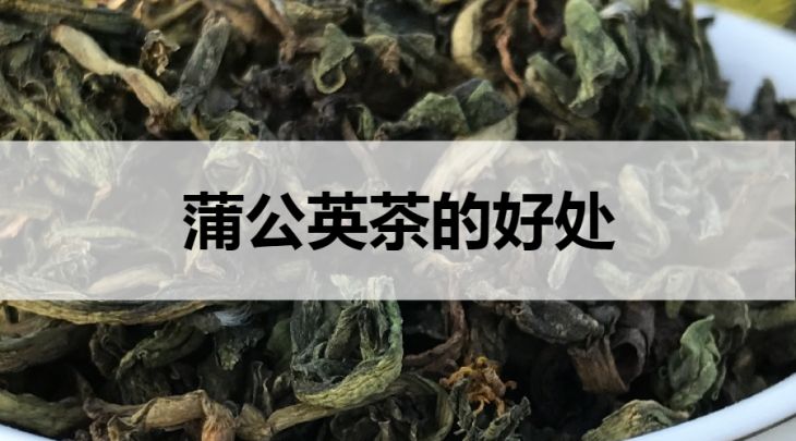 蒲公英茶的好處有哪些？