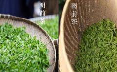 明前茶和雨前茶的區(qū)別是什么？