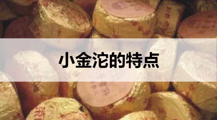 小金沱的特點有哪些？