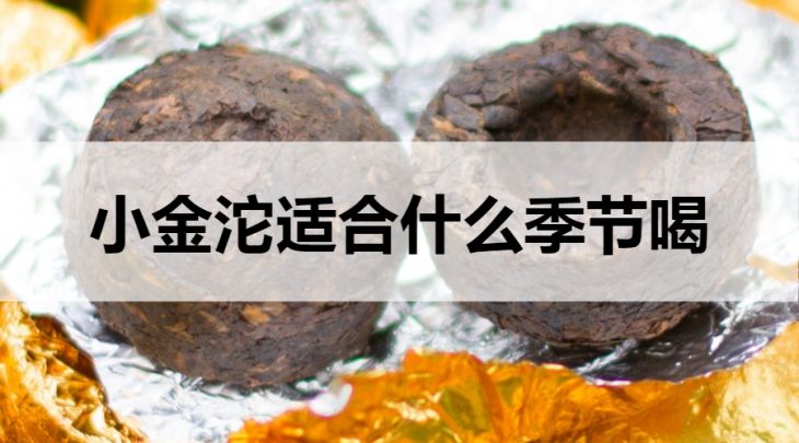 哪個季節(jié)適合喝小金沱茶？