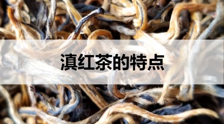 滇紅茶的特點(diǎn)有哪些？