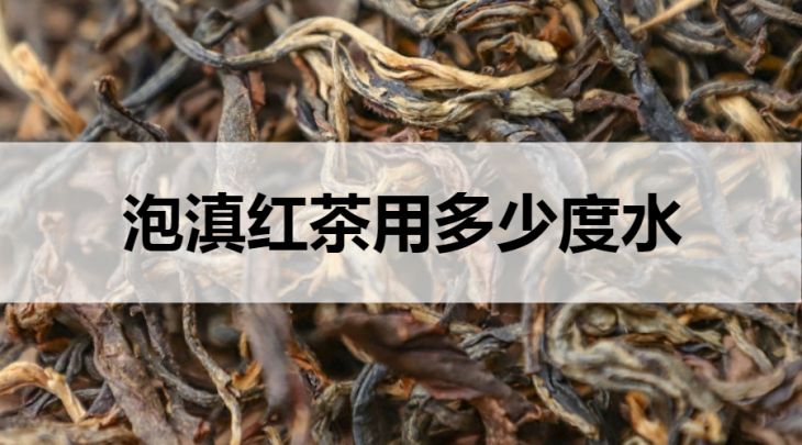 泡滇紅茶用多少度的水？