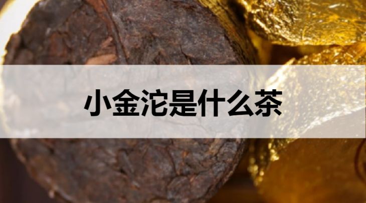 小金沱是什么茶？