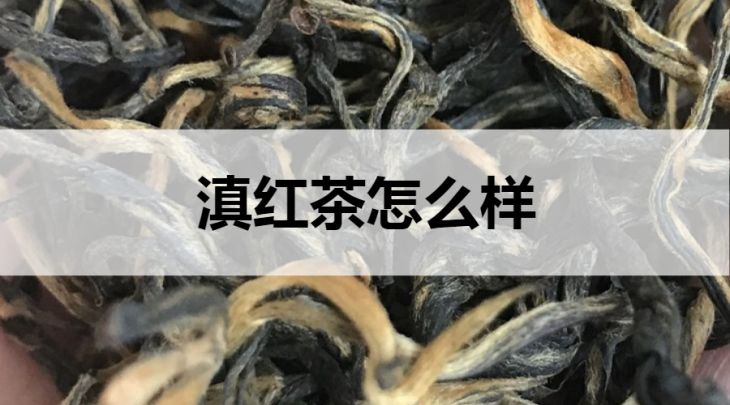 滇紅茶怎么樣？