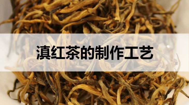 滇紅茶的制作工藝