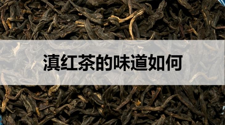 滇紅茶的味道如何？