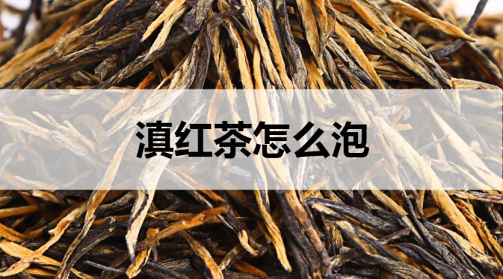 滇紅茶怎么泡？