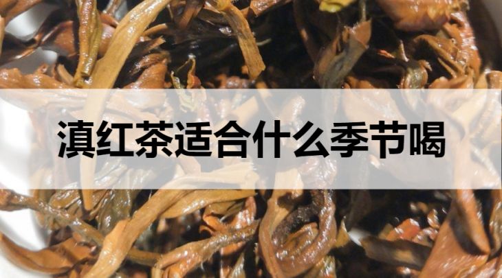 滇紅茶適合什么季節(jié)飲用？