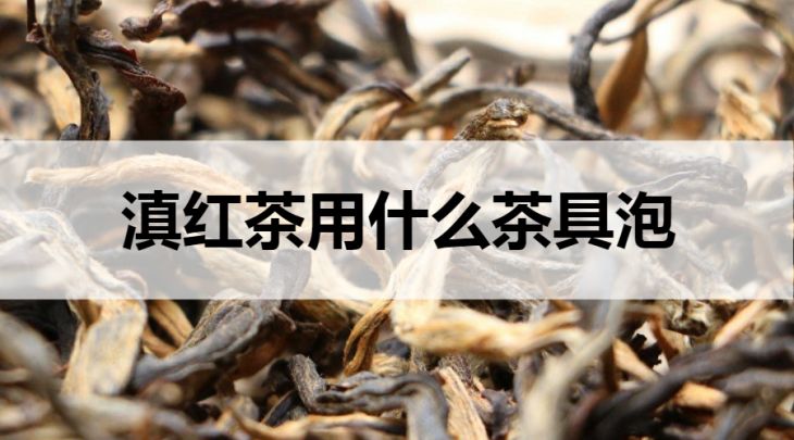 滇紅茶適合什么茶具泡？