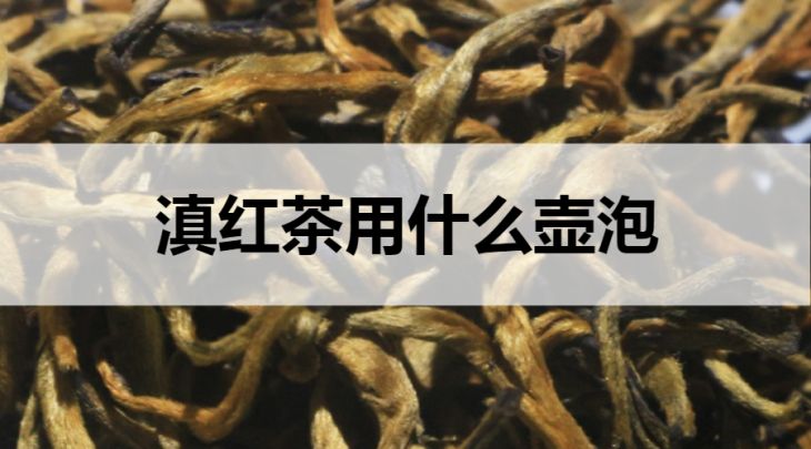 滇紅茶適合什么壺泡？