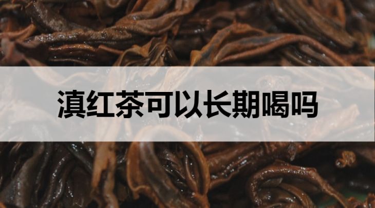 滇紅茶可以長期飲用嗎？