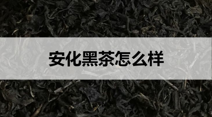 安化黑茶怎么樣？