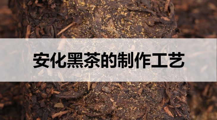 安化黑茶的制作工藝