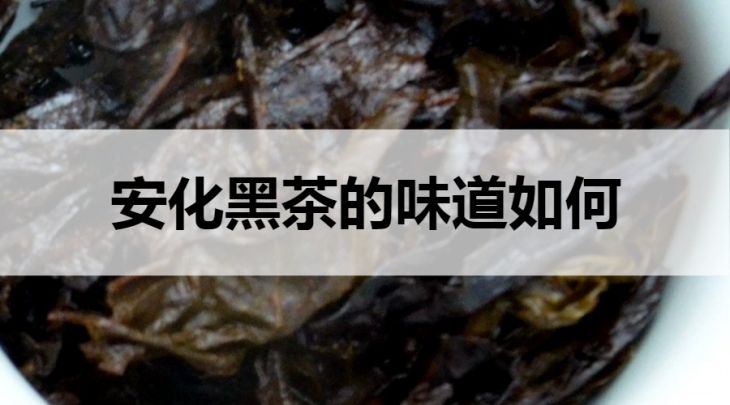 安化黑茶的味道如何？