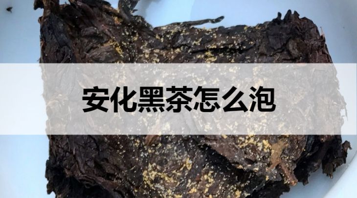 安化黑茶怎么泡？