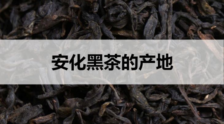 安化黑茶的產地在哪里？