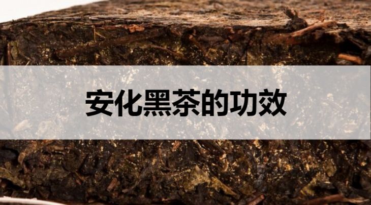 安化黑茶的功效？