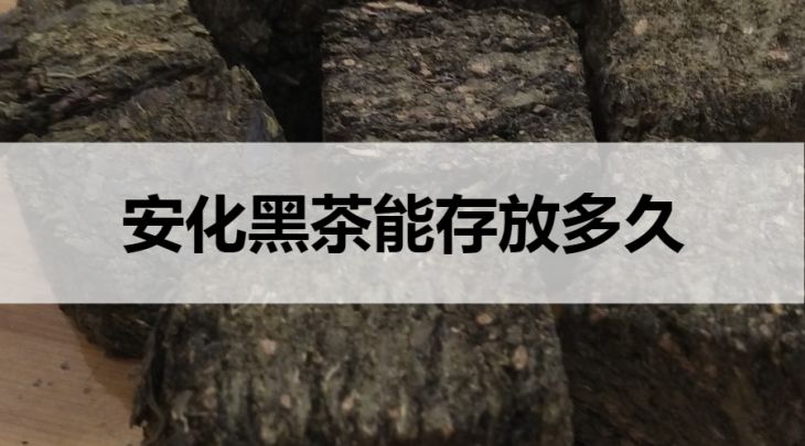 安化黑茶能存放多久？