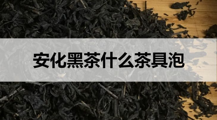 安化黑茶用什么茶具泡？