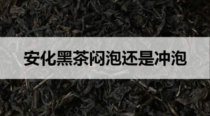 安化黑茶悶泡還是沖泡？