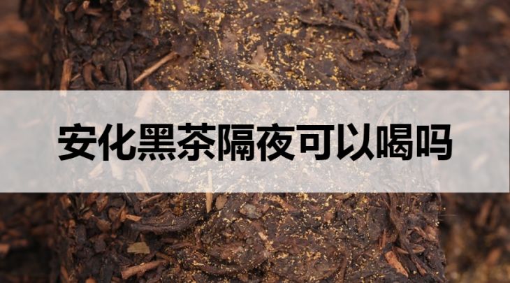 安化黑茶隔夜能喝嗎？