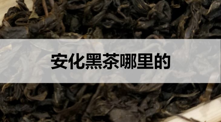 安化黑茶是哪里的？