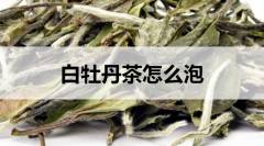 白牡丹茶怎么泡？附過程步驟