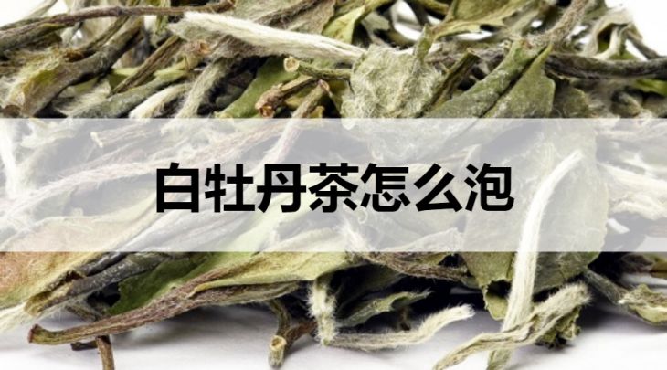 白牡丹茶怎么泡？附過(guò)程步驟