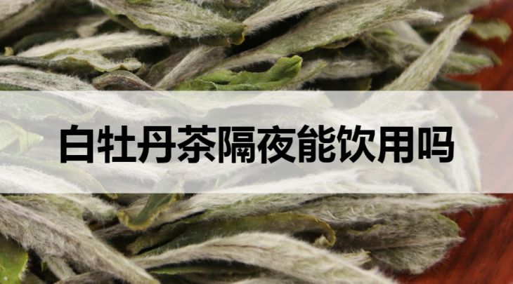 白牡丹茶隔夜能喝嗎？