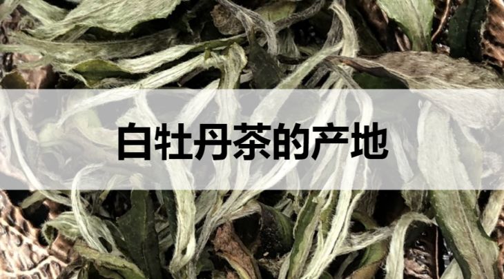 白牡丹茶的產(chǎn)地在哪里？