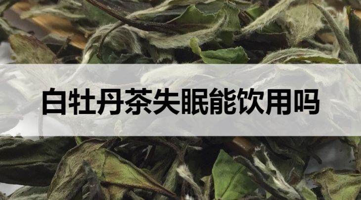 白牡丹茶失眠可以飲用嗎？