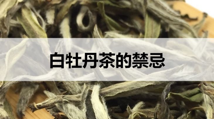 白牡丹茶的禁忌有哪些？