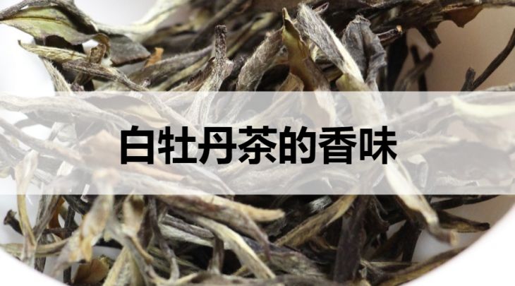 白牡丹茶的香氣什么樣?