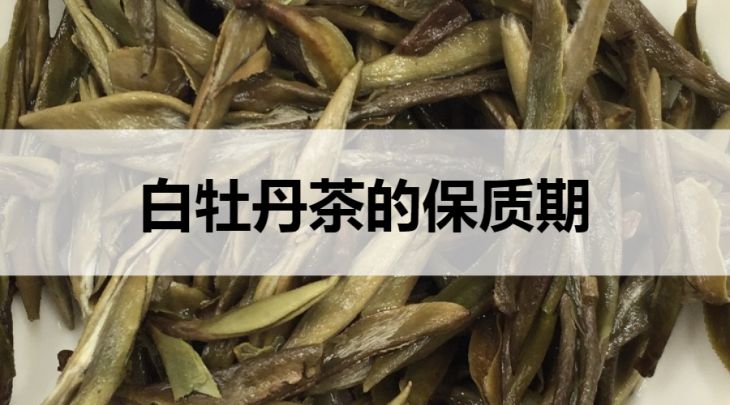 白牡丹茶的保質(zhì)期是多久？