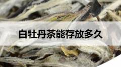 白牡丹茶能存放多久？1-2年左右