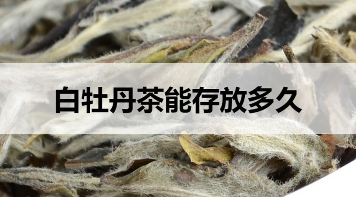 白牡丹茶能存放多久？1-2年左右