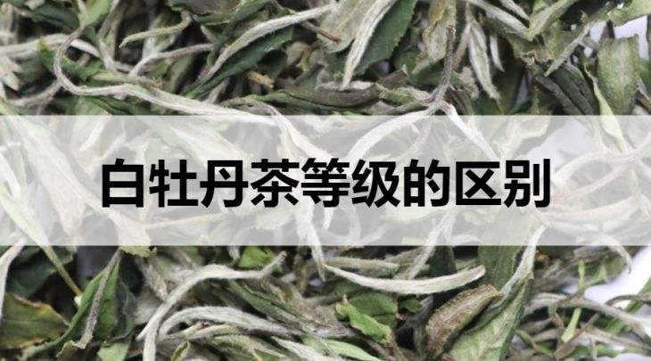 白牡丹茶等級的區(qū)別