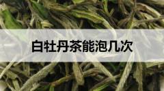 白牡丹茶能沖泡幾次？