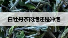 白牡丹茶悶泡還是沖泡？