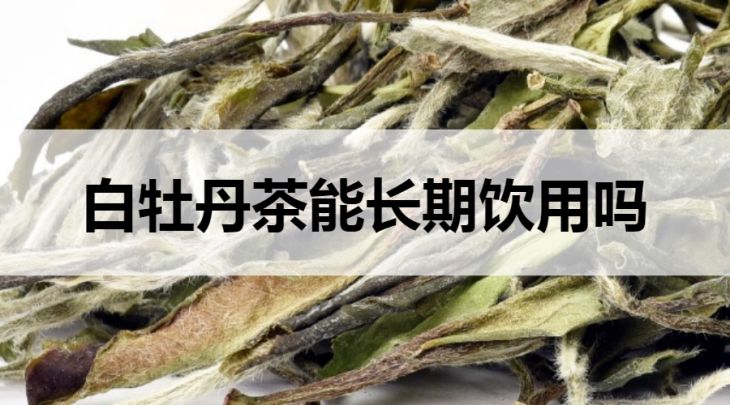 白牡丹茶可以長(zhǎng)期飲用嗎？