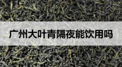 隔夜的廣東大葉青茶能喝嗎？