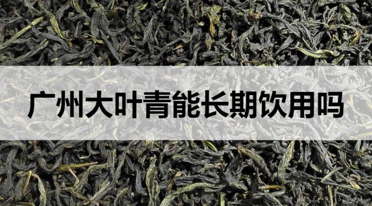 可以長(zhǎng)期喝廣東大葉青嗎？